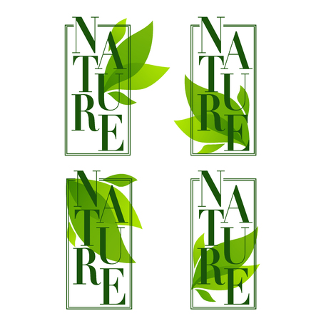 Nature frames ,organic leaves emblems, stickers, and logo in elegant flat styleのイラスト素材
