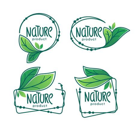 Nature  Product,  doodle organic green  leaves emblems, stickers,  frames and logoのイラスト素材