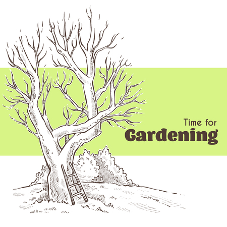Time for Gardening han drawn sketch with image of spring tree and place for textのイラスト素材