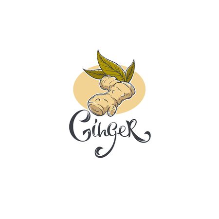 Handdrawn Ginger sketch image and lettering composition for logo, label, emblemのイラスト素材