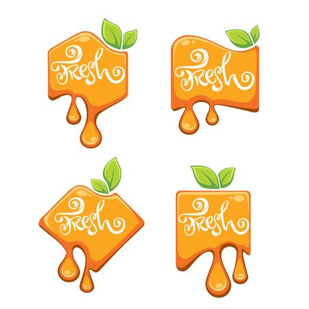 bright  lettering sticker, emblem and  citrus fruit  fresh juiceのイラスト素材