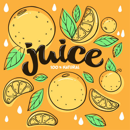 bright  sticker, emblem and logo for citrus fruit  fresh juiceのイラスト素材