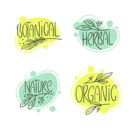 botanic, organic, herbal, nature set of handdrawn logo, lebel and emblemsのイラスト素材