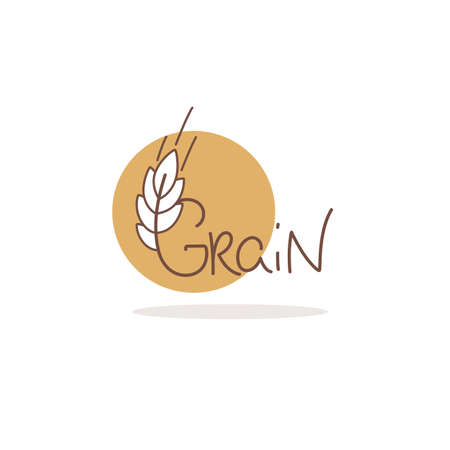 Grain logo template with calligraphy lettering compositionのイラスト素材