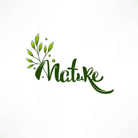 beauty of nature doodle organic leave emblem,  frame and logoのイラスト素材