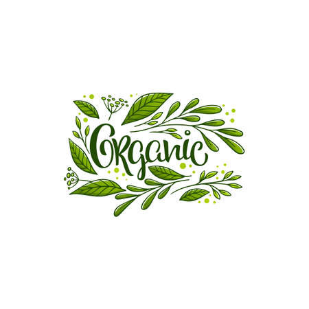 Illustration for beauty of nature doodle organic leave emblem,  frame and logo - Royalty Free Image