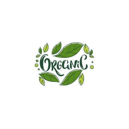beauty of nature doodle organic leave emblem,  frame and logoのイラスト素材
