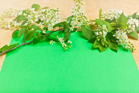 branch with flowers and leaves on a green paper backgroundの写真素材