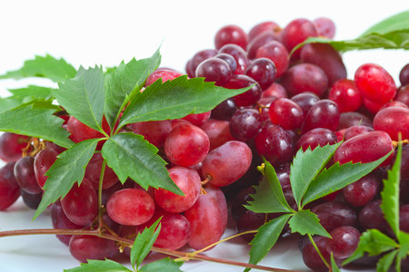 Bunch ripe, fresh red grapes with leaves.の写真素材