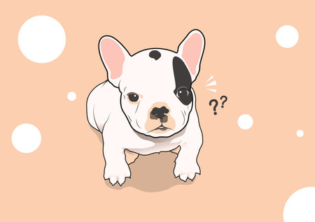 Cute Little French Bulldog in Two Tone. Sweet and endearing, a two-tone little French Bulldog is captured in this adorable vector image.のイラスト素材