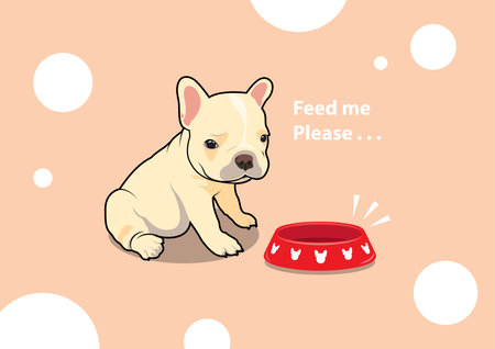 Cute Little Frenchie is waiting for your feeding. A brown French bulldog puppy is sitting near his bowl and waiting for his food on the white dot-pink background.のイラスト素材