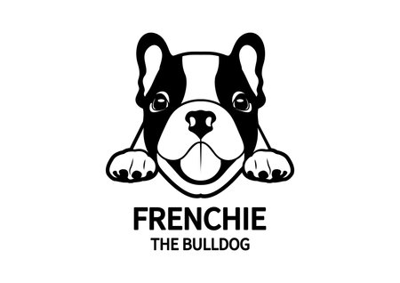 The cute adorable chubby French Bulldog puppy is hungry and waiting for his snack. The little Frenchie logo symbol mark can use for a variety of artworks.のイラスト素材