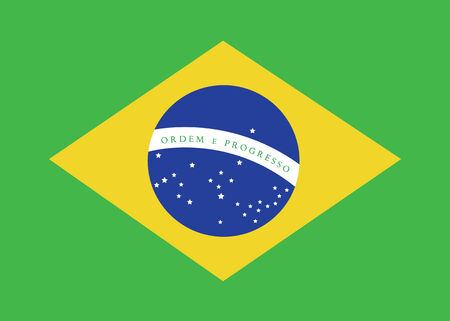 brazil flag over green background  のイラスト素材