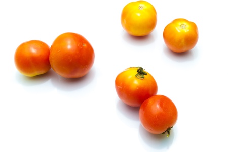 tomatosの写真素材