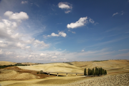 Landscape in Tuscany, highway  famous forest from Windows theme の写真素材