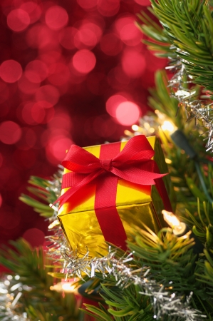 Small gift on Christmas tree  vertical の写真素材