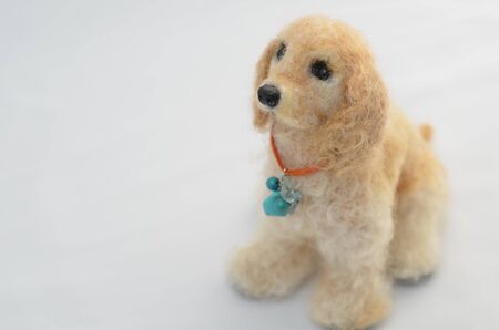 A dogの写真素材