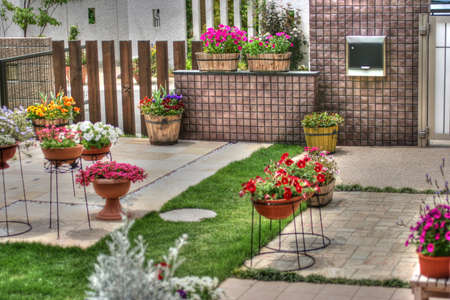 gardeningの写真素材