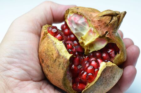 Pomegranateの写真素材