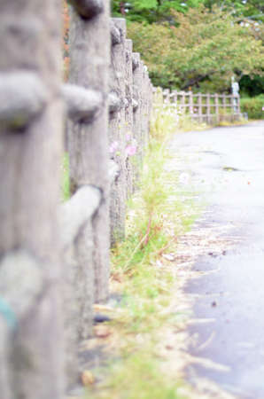 Fenceの写真素材