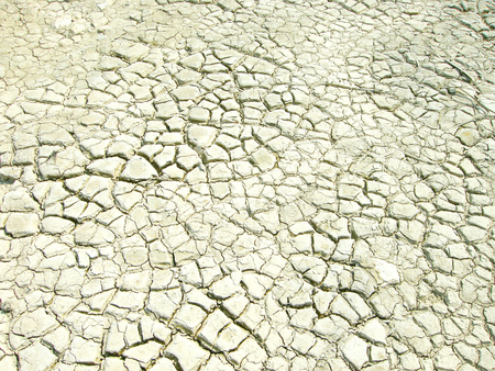 Dry weather.の写真素材