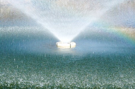 the gush of water in the pond