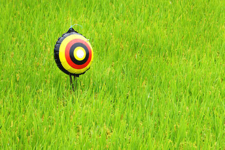 Eyeball balloon for bird ward on the paddy field in rainy dayの写真素材