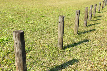 Wood stake in the parkの写真素材