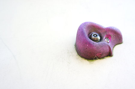 Bouldering hold on the wallの写真素材