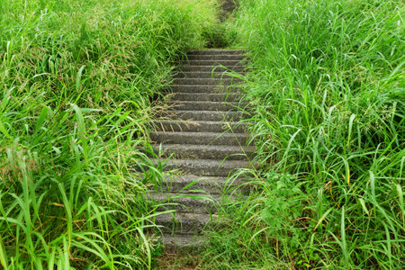 The stone stairs on the river bankの写真素材
