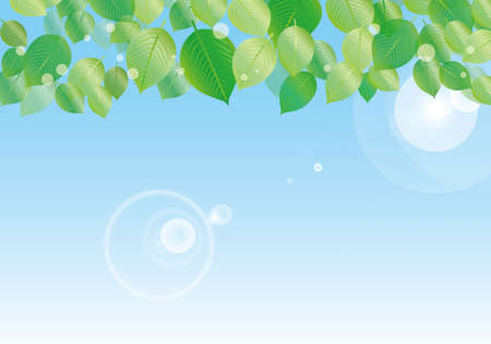 A frame with fresh green leaves and sunshine in the blue skyのイラスト素材