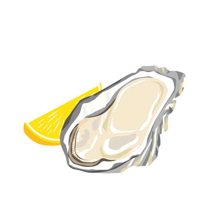 Oyster Illustrationのイラスト素材