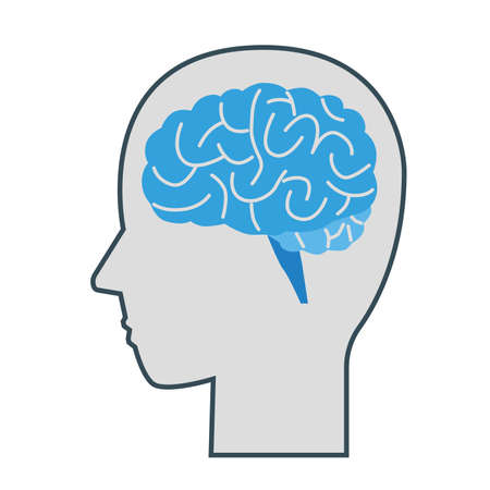 Illustration of the brain and profile of a personのイラスト素材
