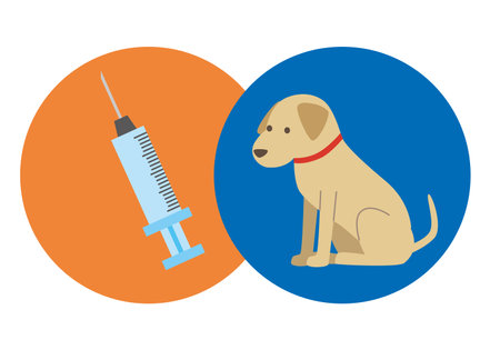 Vaccination of dogsのイラスト素材