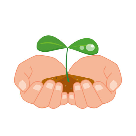 Illustration of young leaves wrapped in both handsのイラスト素材