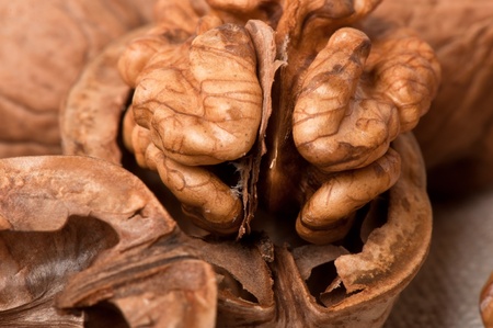 walnuts on a background of old fabricの写真素材