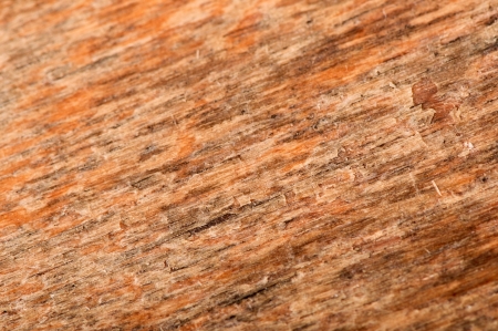 old wood backgroundの写真素材