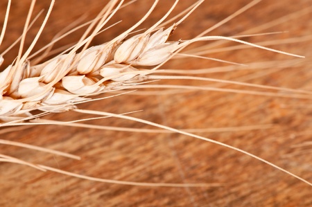 wheat on the wood backgroundの写真素材