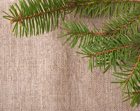 Christmas background
