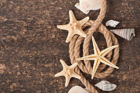 starfish and shells on old wooden background