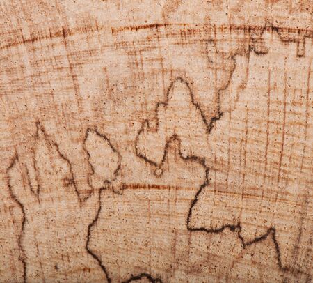 Background of wood, texture.
