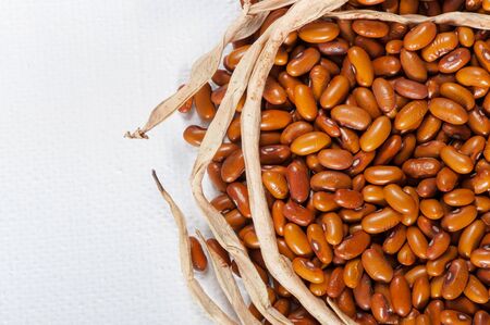 Ripe grain beans on a light background.の写真素材