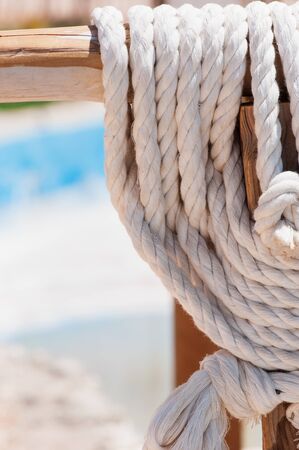 Sea knot on bamboo and natural background.の写真素材
