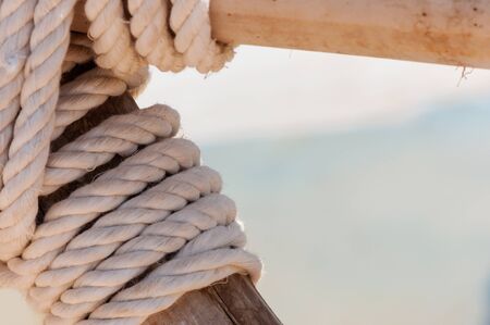 Sea knot on bamboo and natural background.の写真素材