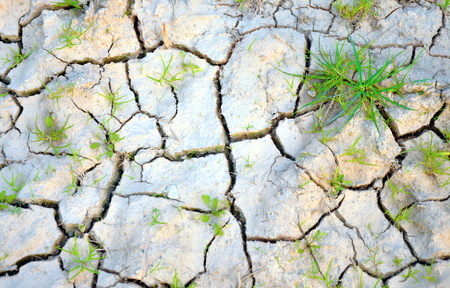 dry cracked ground in the fields 