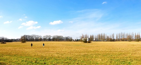 beautiful panorama of field landscape in springの写真素材