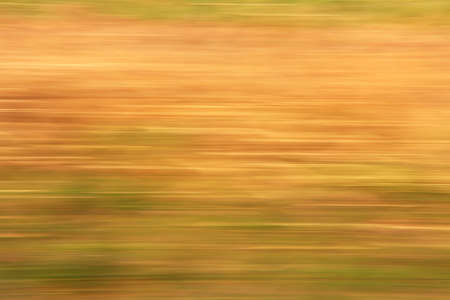 blur horizontal lines forming dynamic elegant backgroundの写真素材