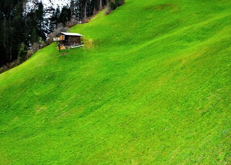 beautiful scenery of alps cottage in meadowsの写真素材
