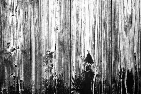 close up of wood texture with knotsの写真素材