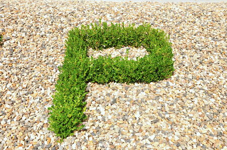 closeup of green sign plant の写真素材